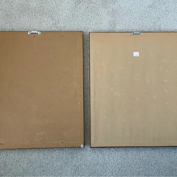 2 Framed Matted Vintage Floral Flower Botanical Bouquet Prints Litho Robert Furb - Picture 7 of 14